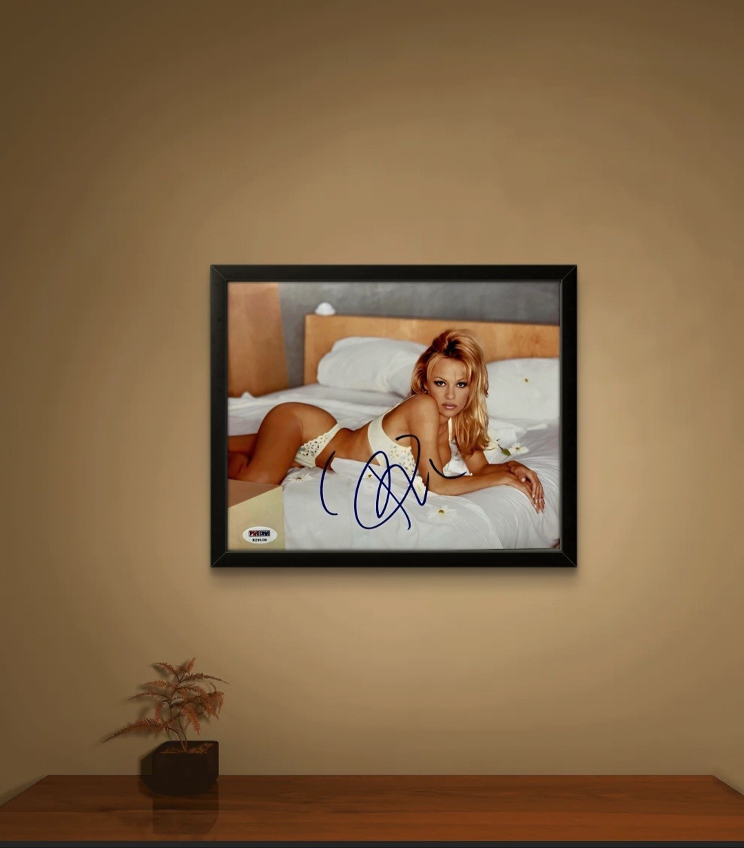 8x10 Framed Vintage Pamela Anderson Rare! signed autographed sexy lingerie