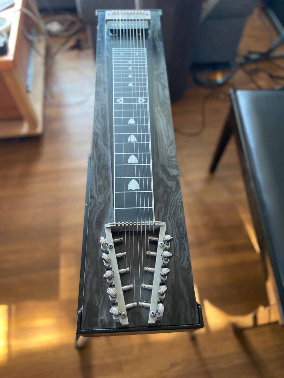 Carter Starter Pedal Steel Guitar with Hard Case - VGC