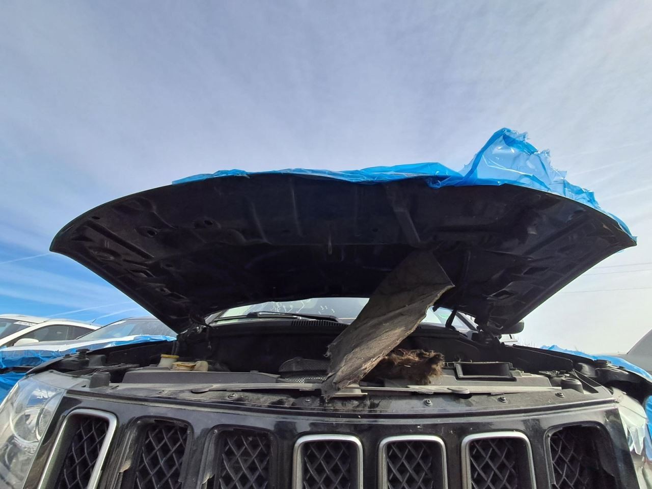 2017 Compass Driver Side Curtain Roof Airbag Used OEM 95000 Miles 253-03327L