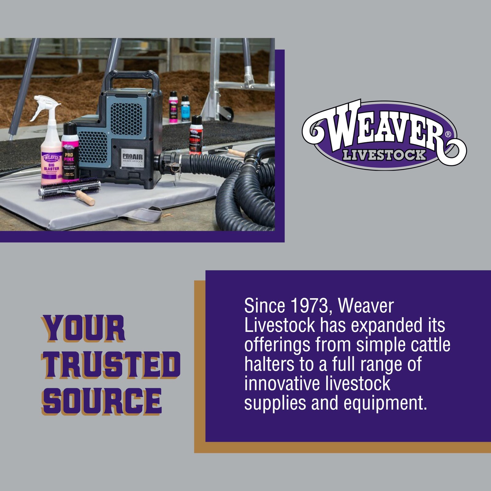 Braided Poly Rope Cattle Halter, Adjustable Cow Calf Halter, Livestock Handli