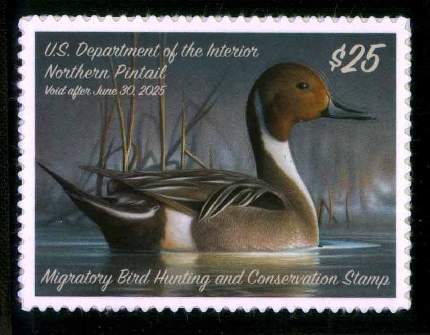 RW91 MINT FEDERAL DUCK STAMP OF 2023 - OGNH - XF - (ESP#STOCK)