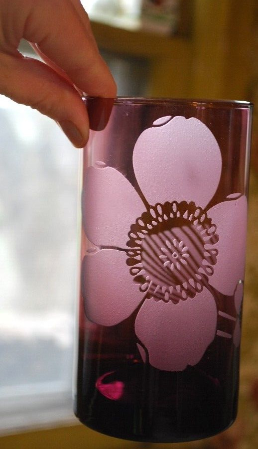 Vtg Set 8 PIER 1 Tumbler Glasses ETCHED FLOWER Hand Blown 6" Multicolor 20 Ounce