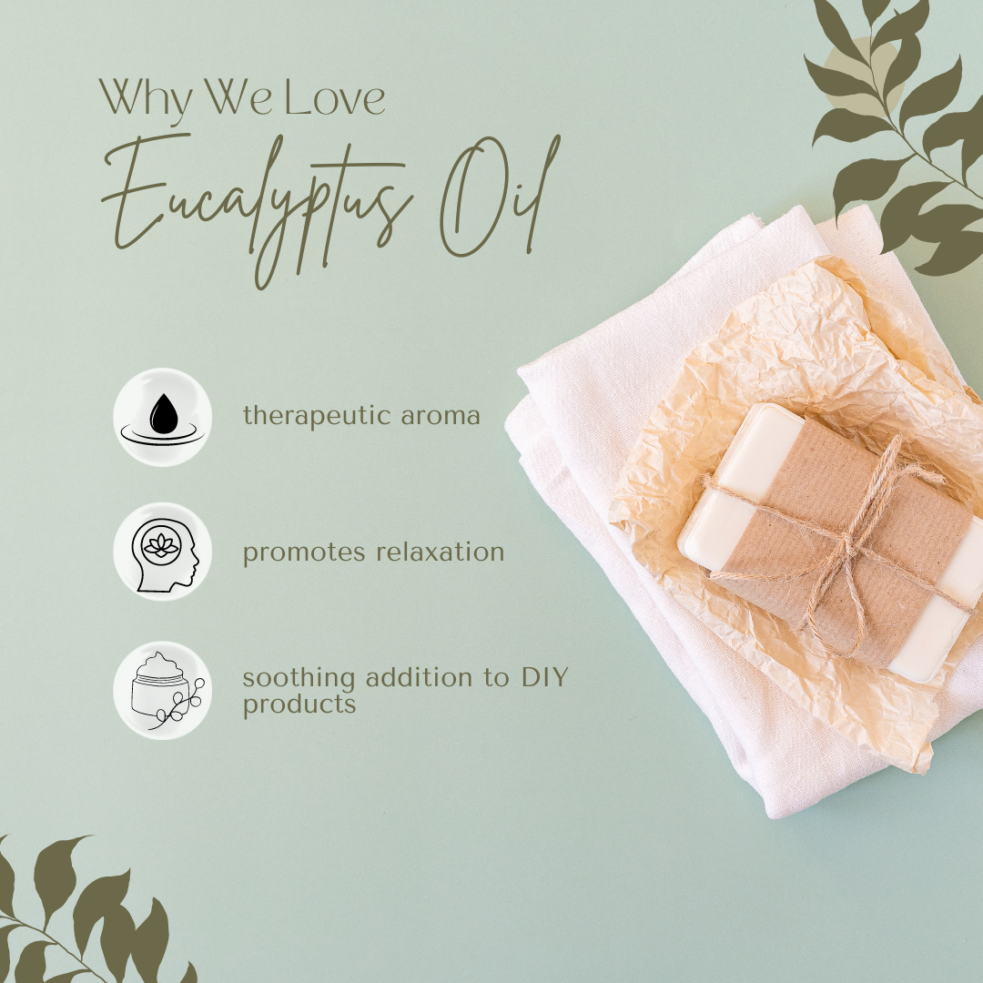 Eucalyptus Globulus Essential Oil 100% Pure Free Shipping Many Sizes