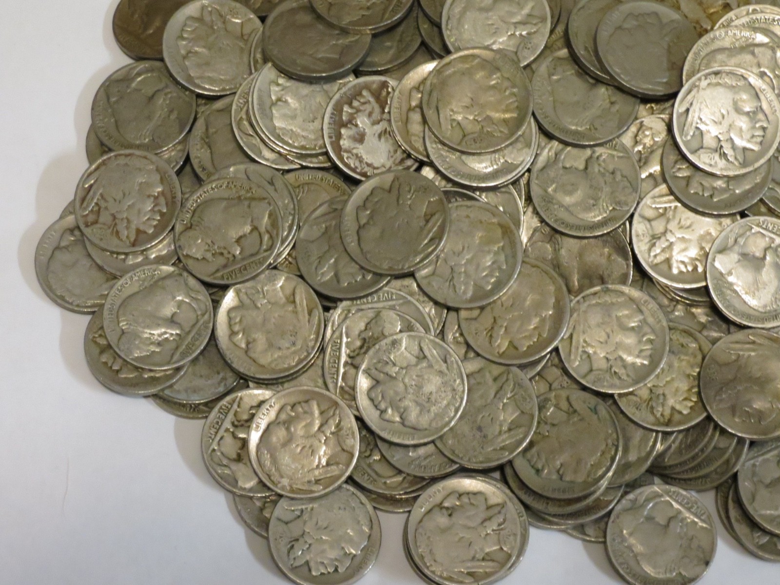 500 Buffalo Nickels Bulk Lot P Mint Only Part Date to Strong Part Date 5c Coins