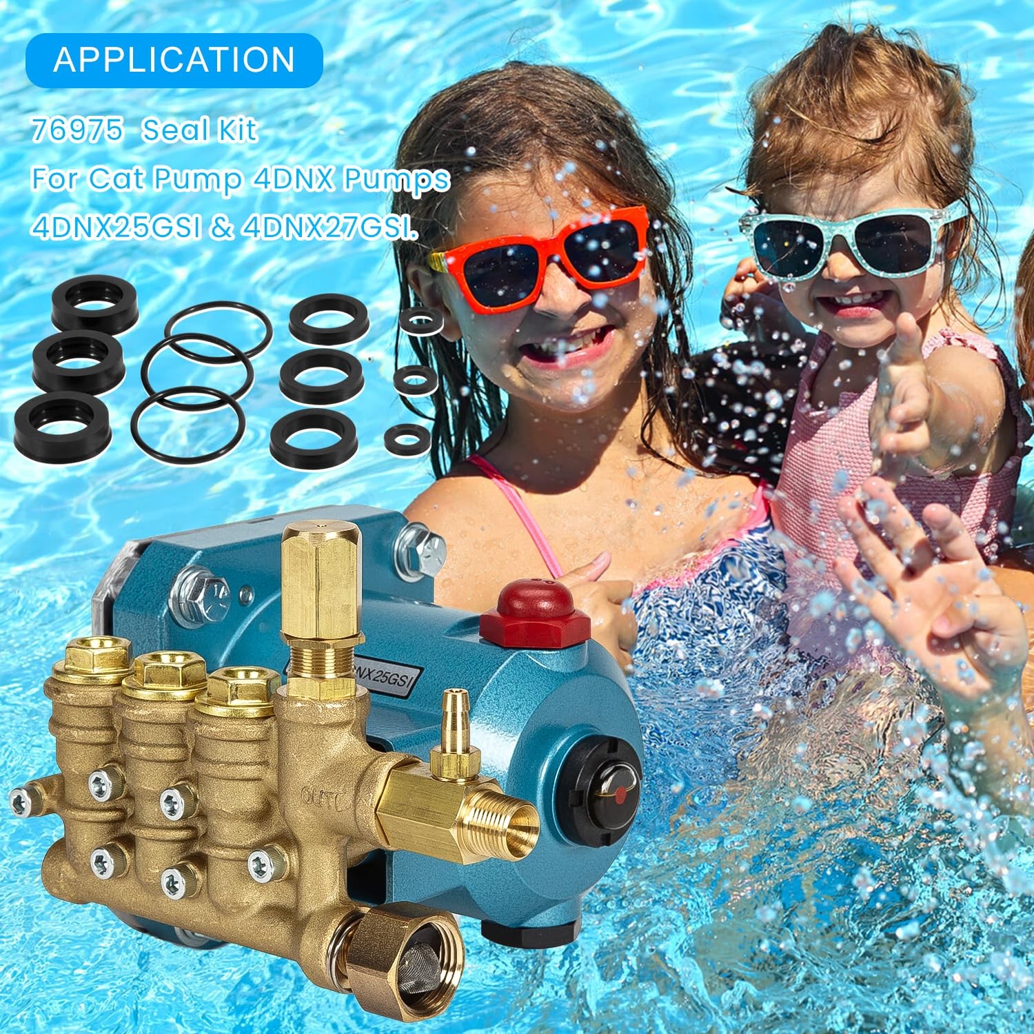 For Cat Pump 4DNX Pumps 4DNX25GSI 4DNX27GSI Seal Kit 76975 Seal Kit 12PCS