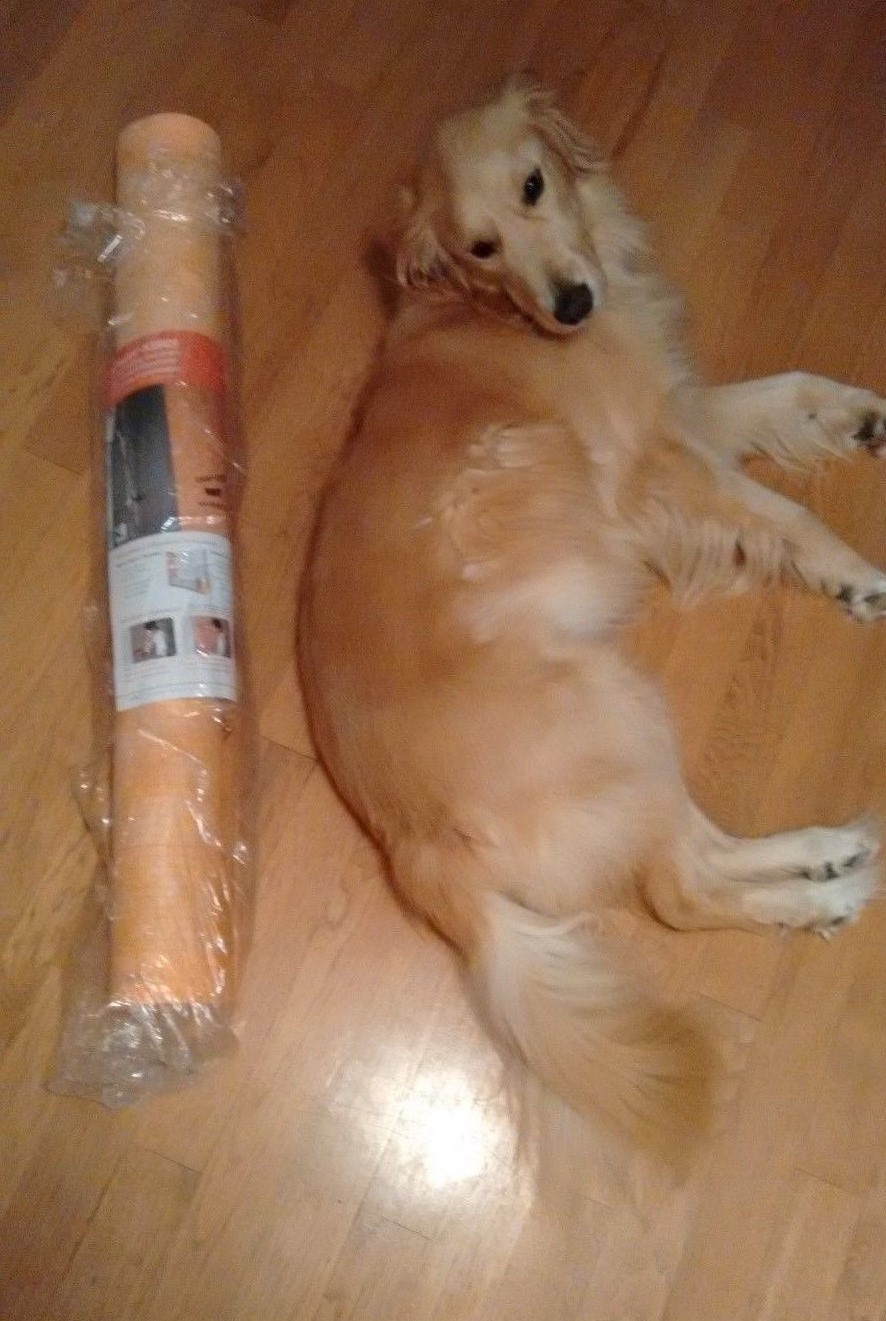 Schluter Kerdi Membrane ~ 3 sf to 323 sf Rolls~You Pick Size You Need!!~