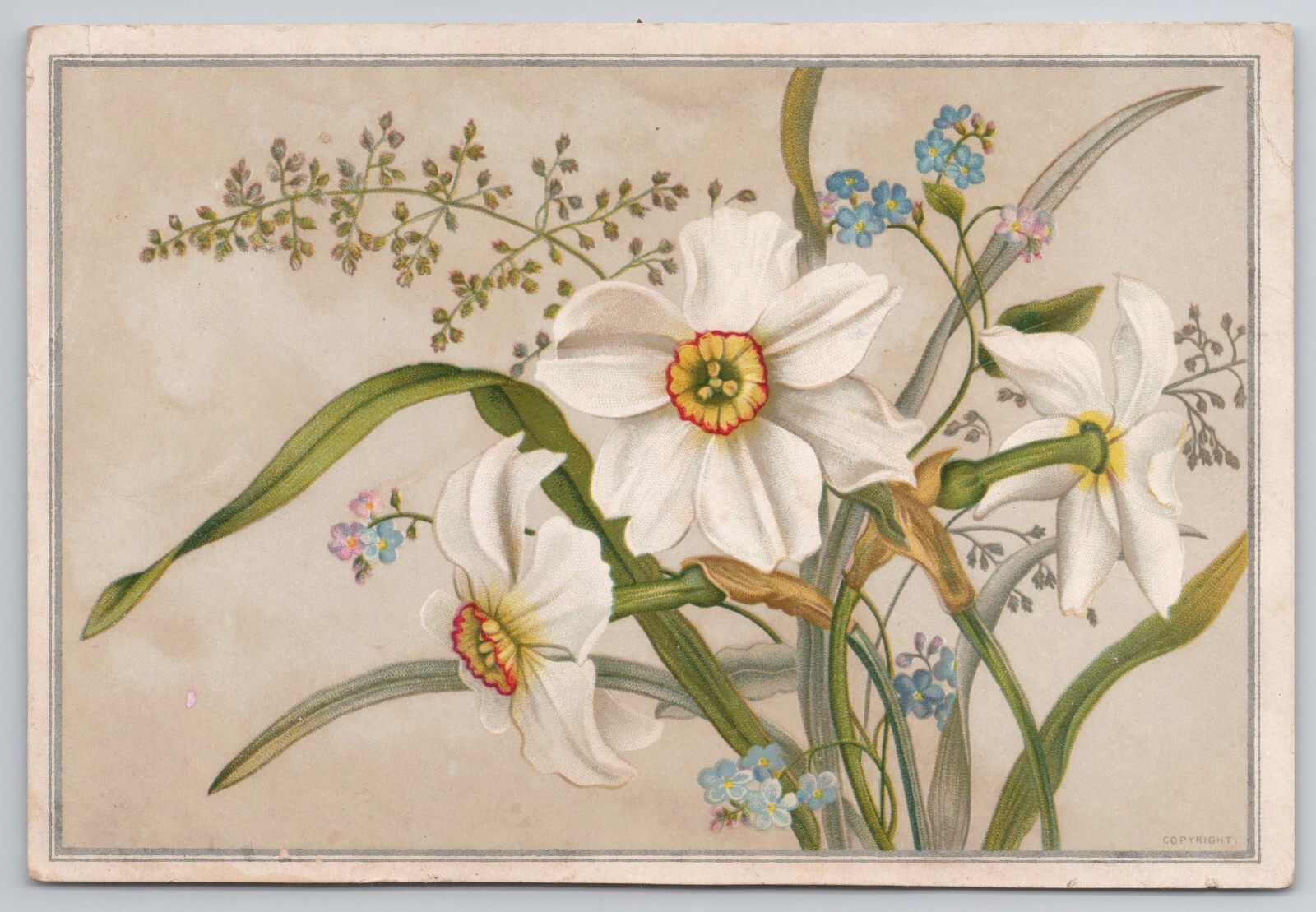 Victorian Card Lovely Lilly Flowers