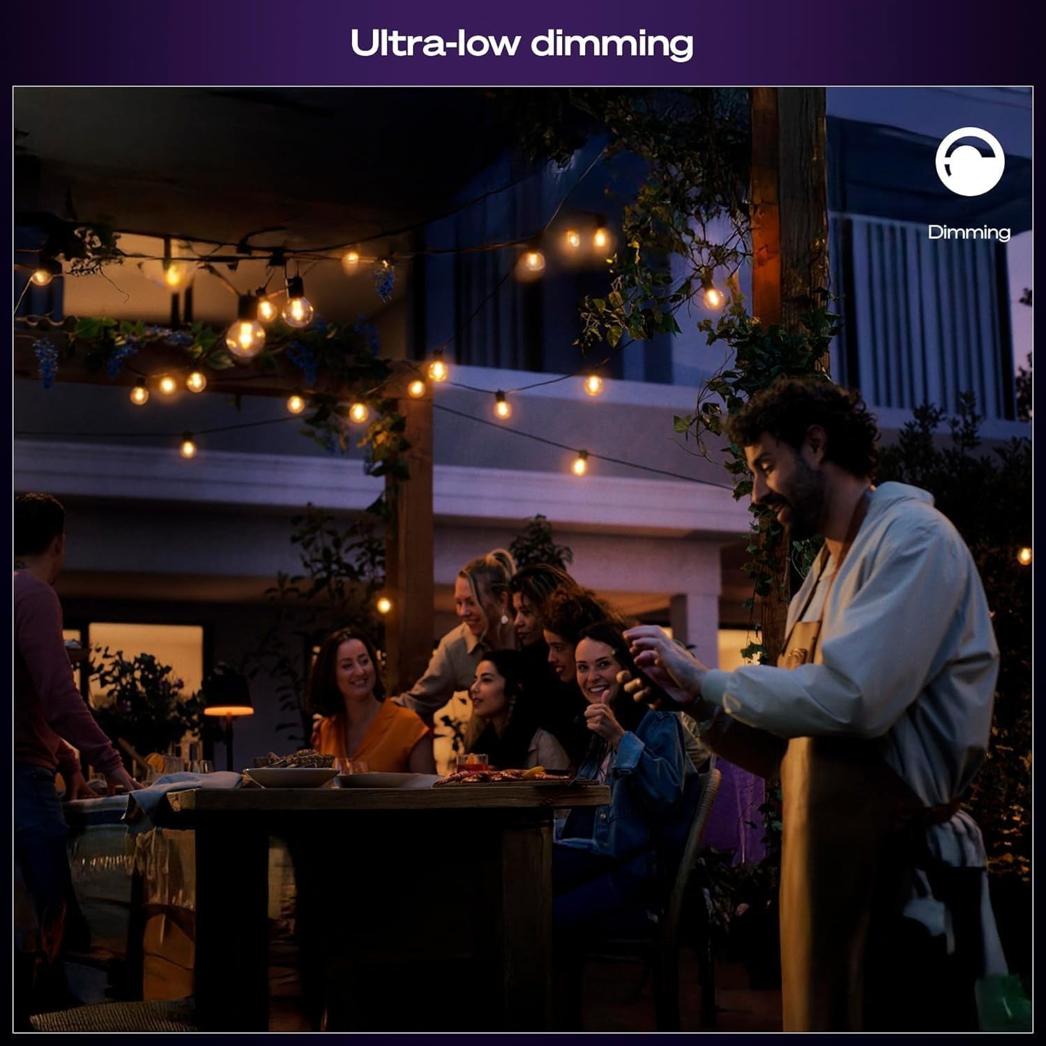 Philips Hue Festavia Globe Outdoor String Lights, Color 45ft,16 Bulbs,black