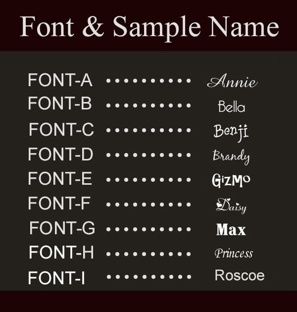 Personalized Pet Name ID Tags for Dog, Custom Double Sided Cool BONE Shape LOOK!