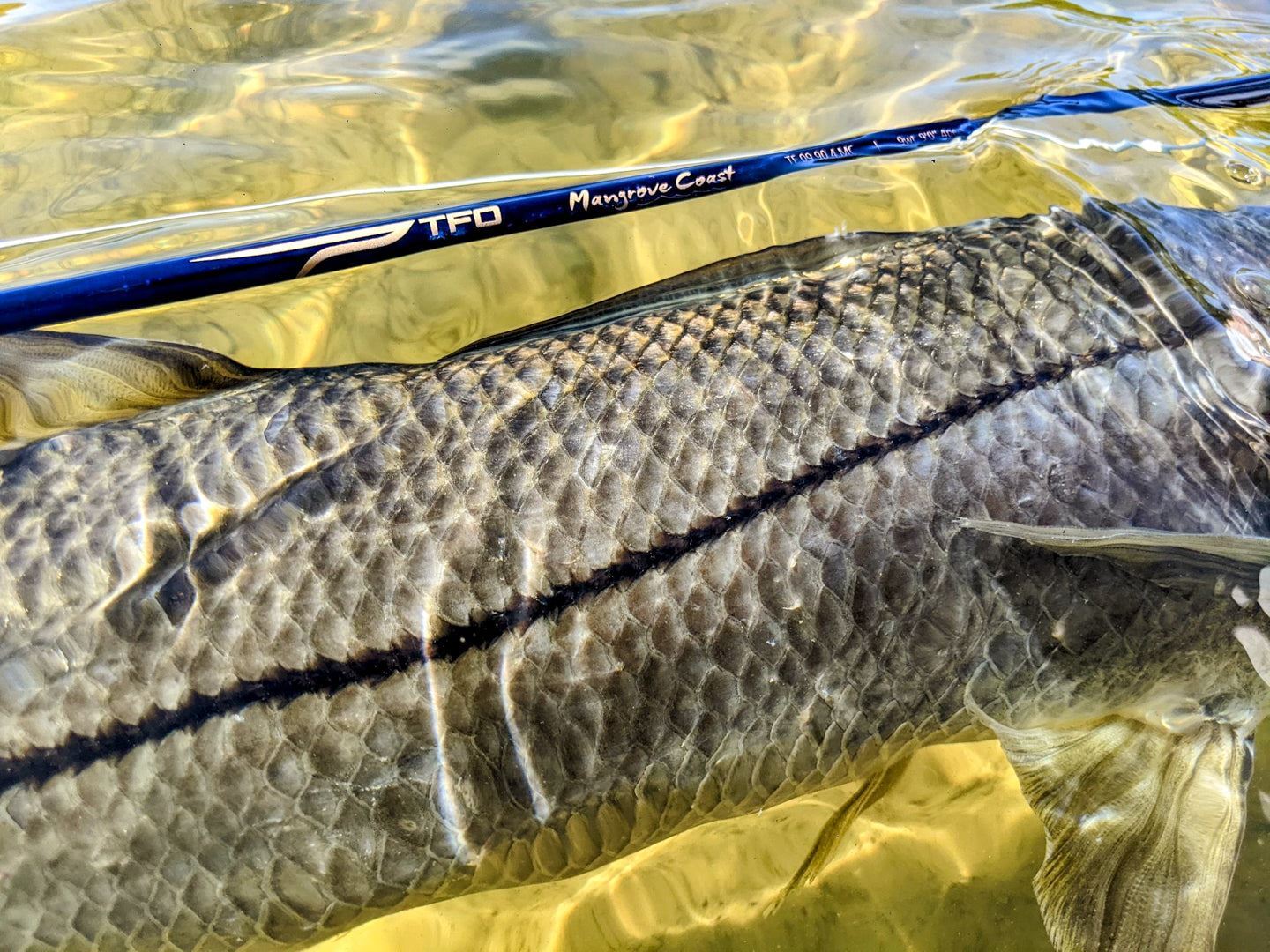 TFO Mangrove Coast 7wt 9'0" Fly Rod - Lifetime Warranty - FREE SHIPPING