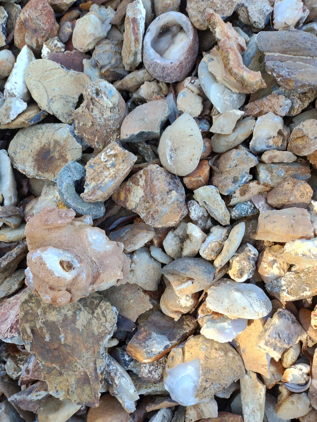 Agate Nodules Nicknamed Potato Agates 10 Pound Lot, Some w/crystals, some solid