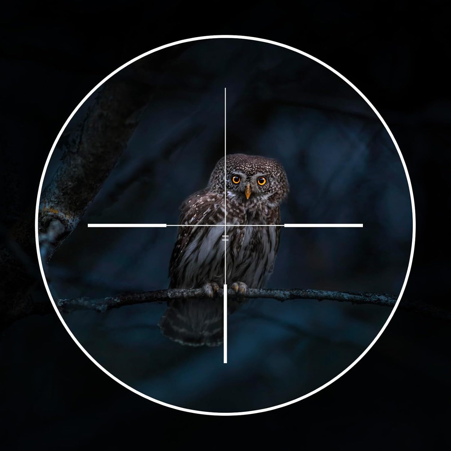 GOYOJO Night Vision Scope for Rifle Optics 1920x1080 OLED Monocular Day&Night