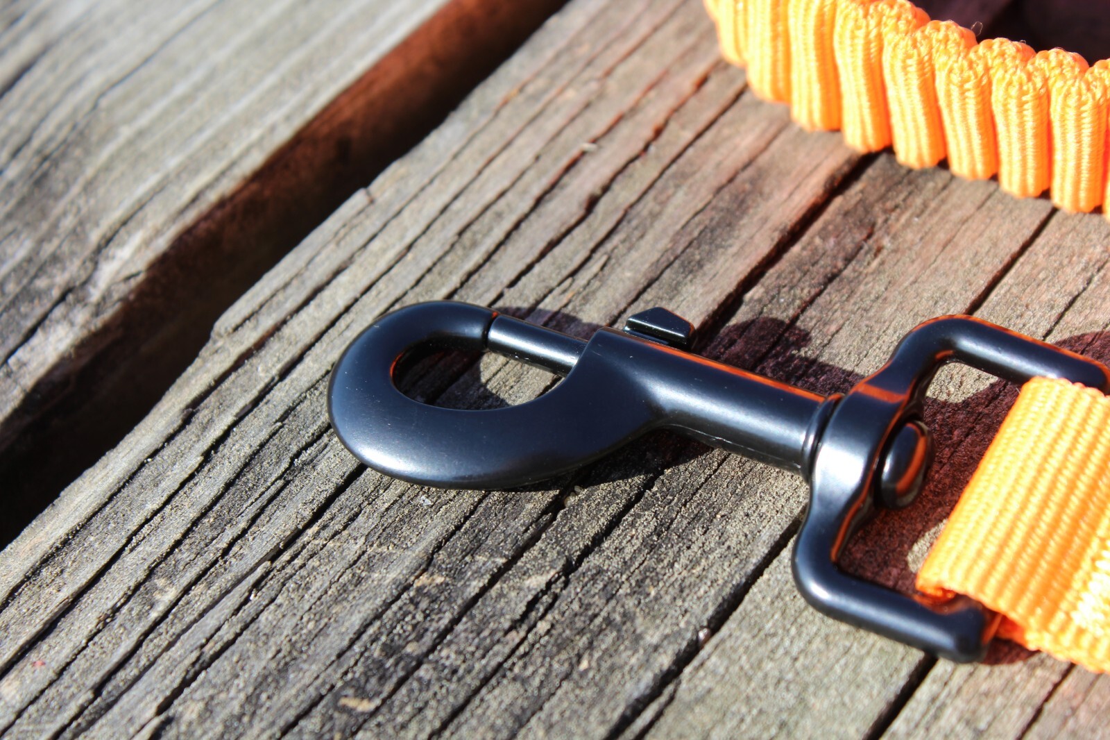 Hands Free Running Walking Dog Leash/Lead Bungee Orange Stretch