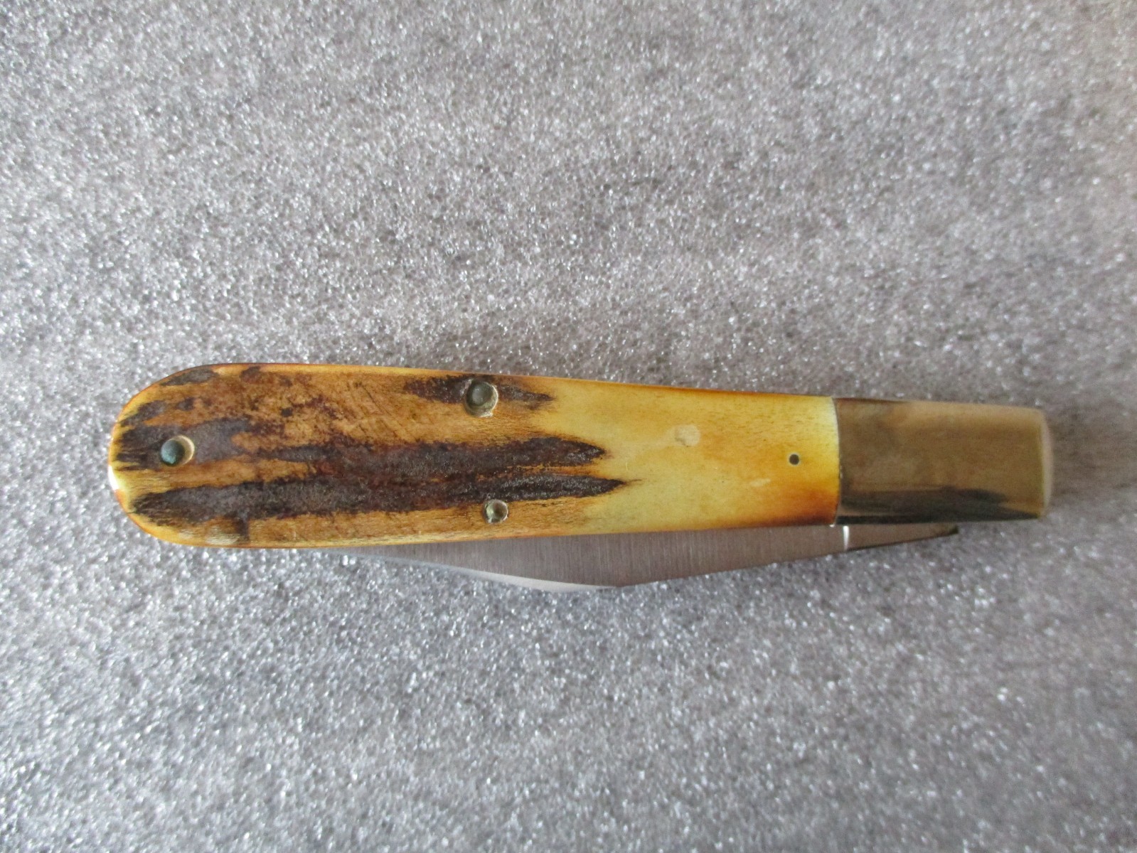 VINTAGE CASE XX 5143 SSP LTD PRODUCTION FOUNDERS STAG KNIFE in DISPLAY CASE