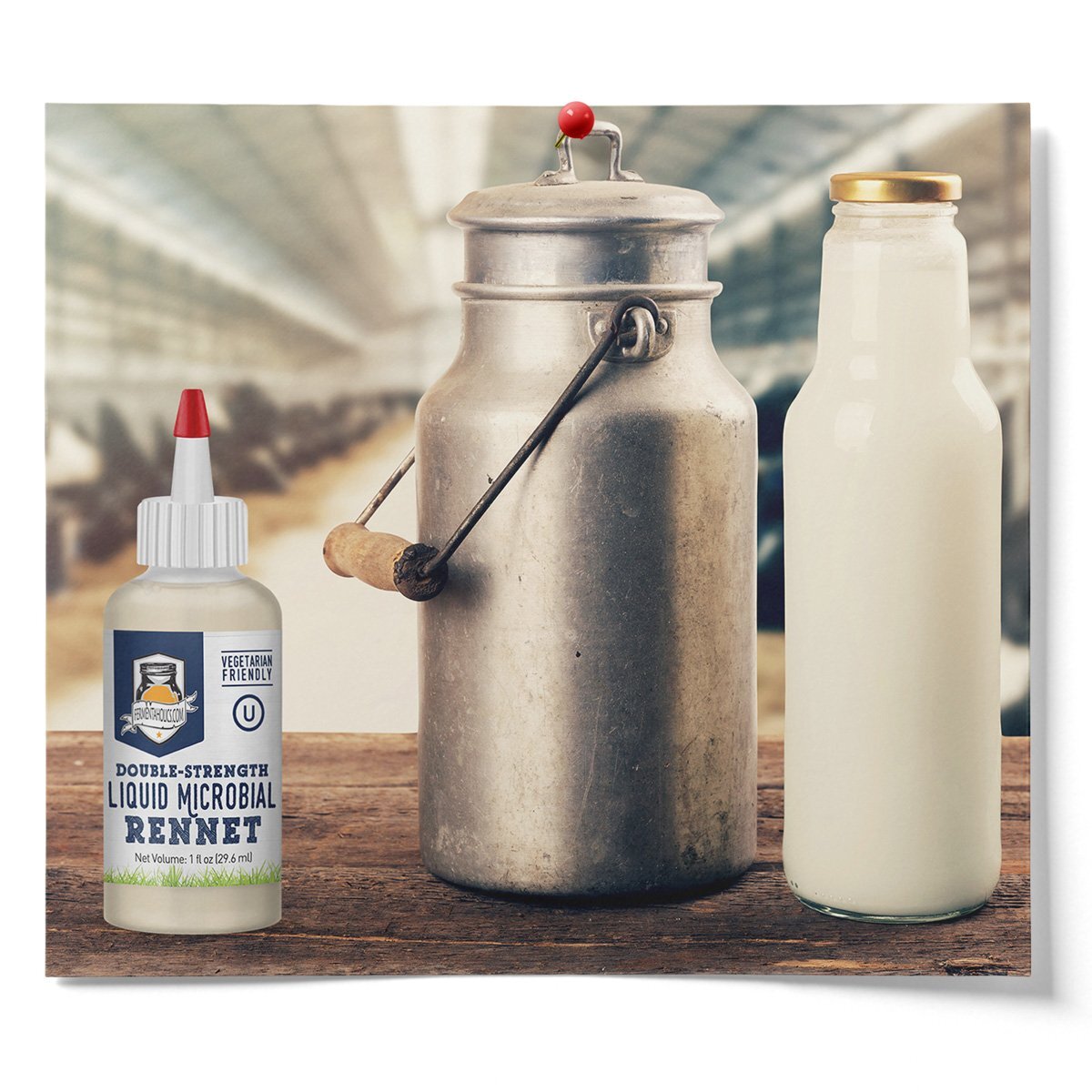 Liquid Microbial Rennet - Vegetarian Rennet - Vegan Cheesemaking