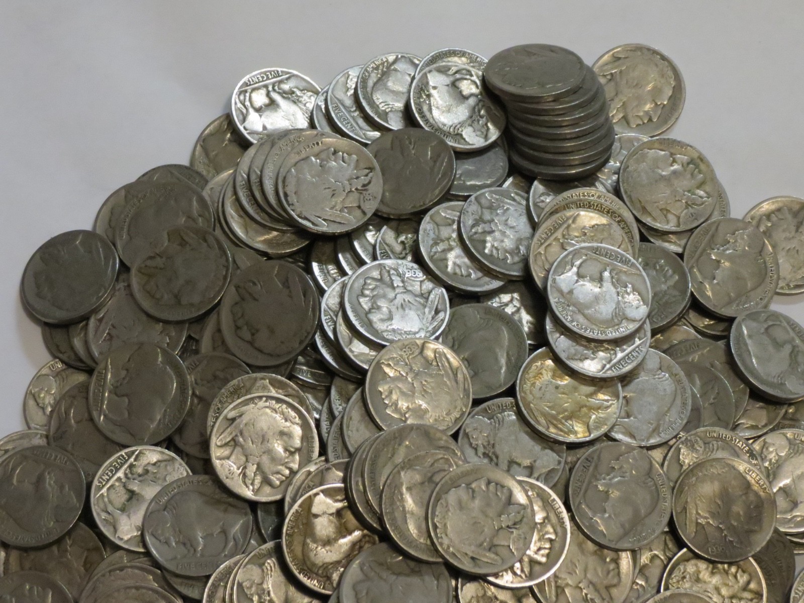 500 Buffalo Nickels Bulk Lot P Mint Only Part Date to Strong Part Date 5c Coins