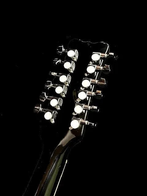 NEW 12 STRING ADAM JONES LP STYLE SILVER BURST SOLID MAHOGANY ELECTRIC GUITAR