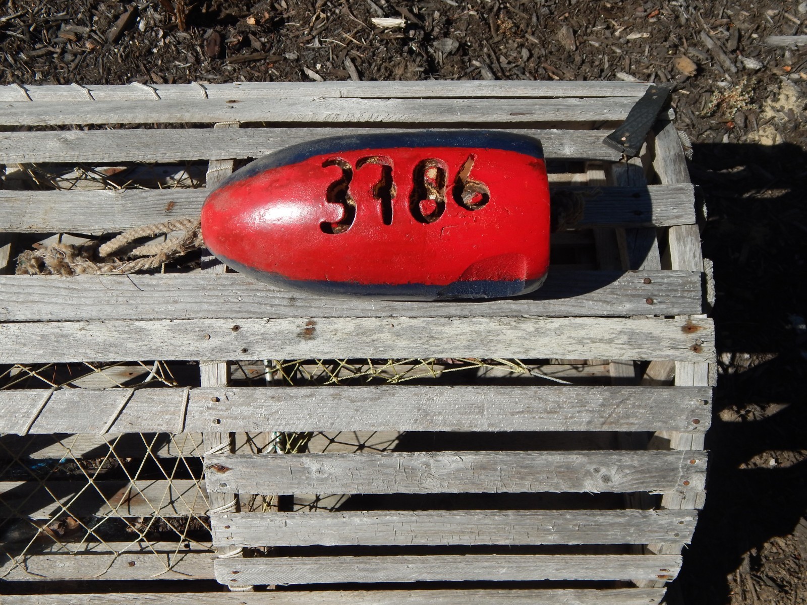 FREE SHIP 183 Maine Lobster BUOY nautical pot bouy float shore crab Lake CAPE