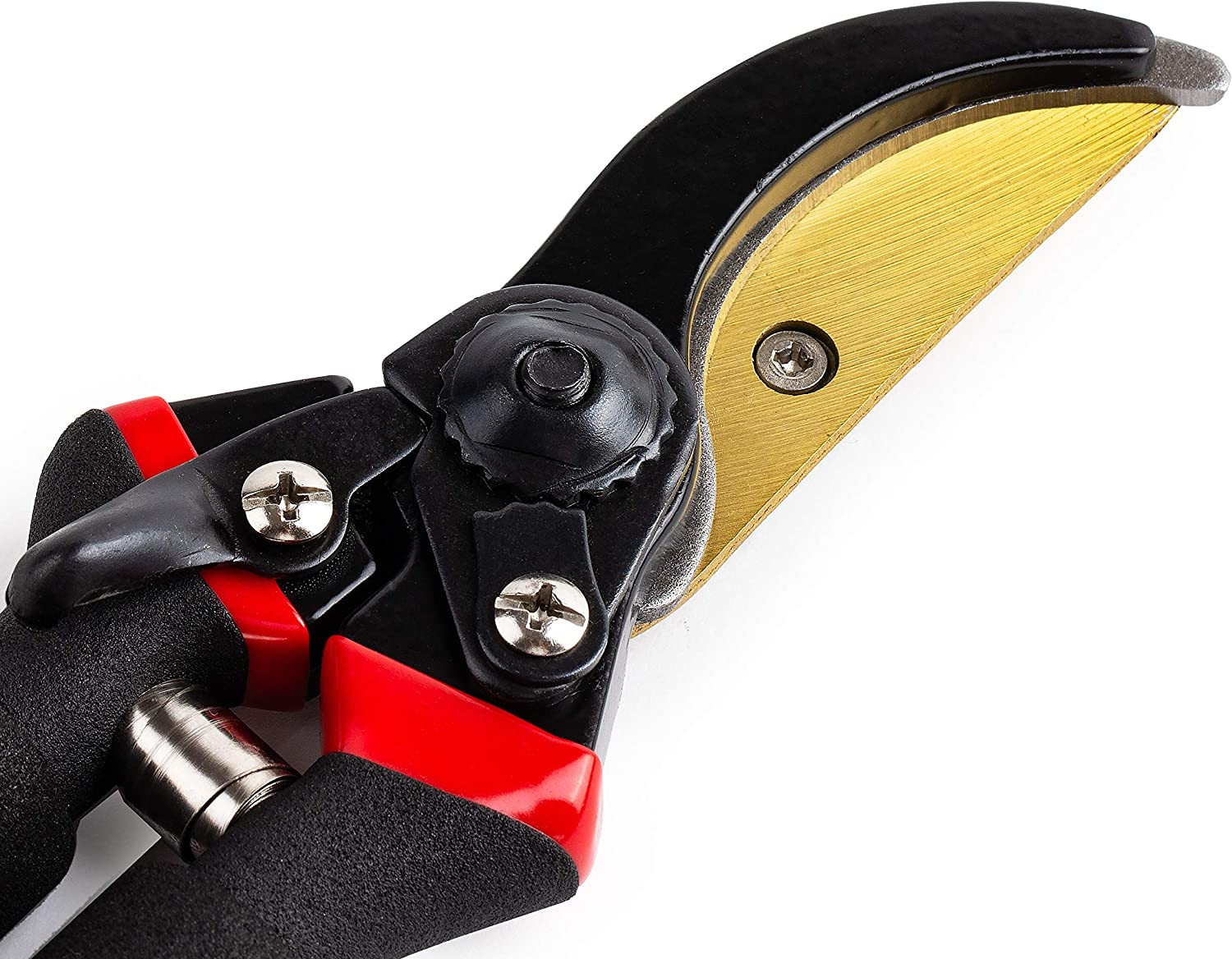 - Pruning Shears Garden Shears 8 Professional Titanium Blade Garden