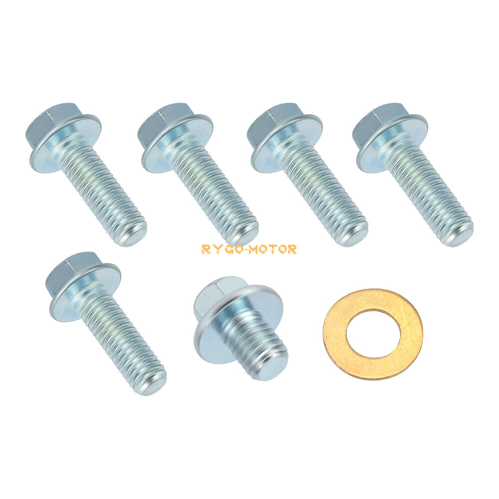 Rear Brake Panel & Shoes Kit For Honda TRX250EX TRX250X 2001-2024 43010-HM8-000