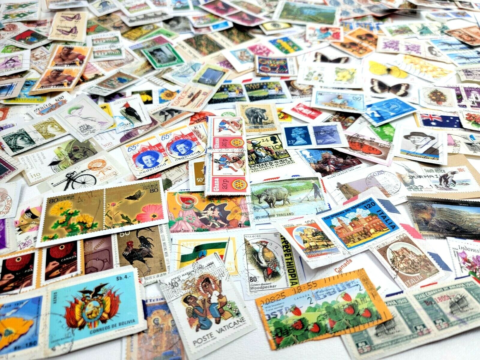 QUARTER POUND of FOREIGN Stamp KILOWARE Mix ON Paper