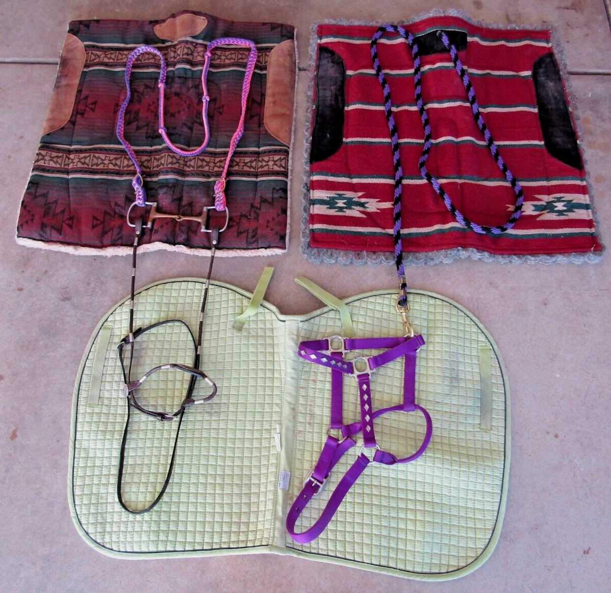 Horse riding and care equipment large lot !