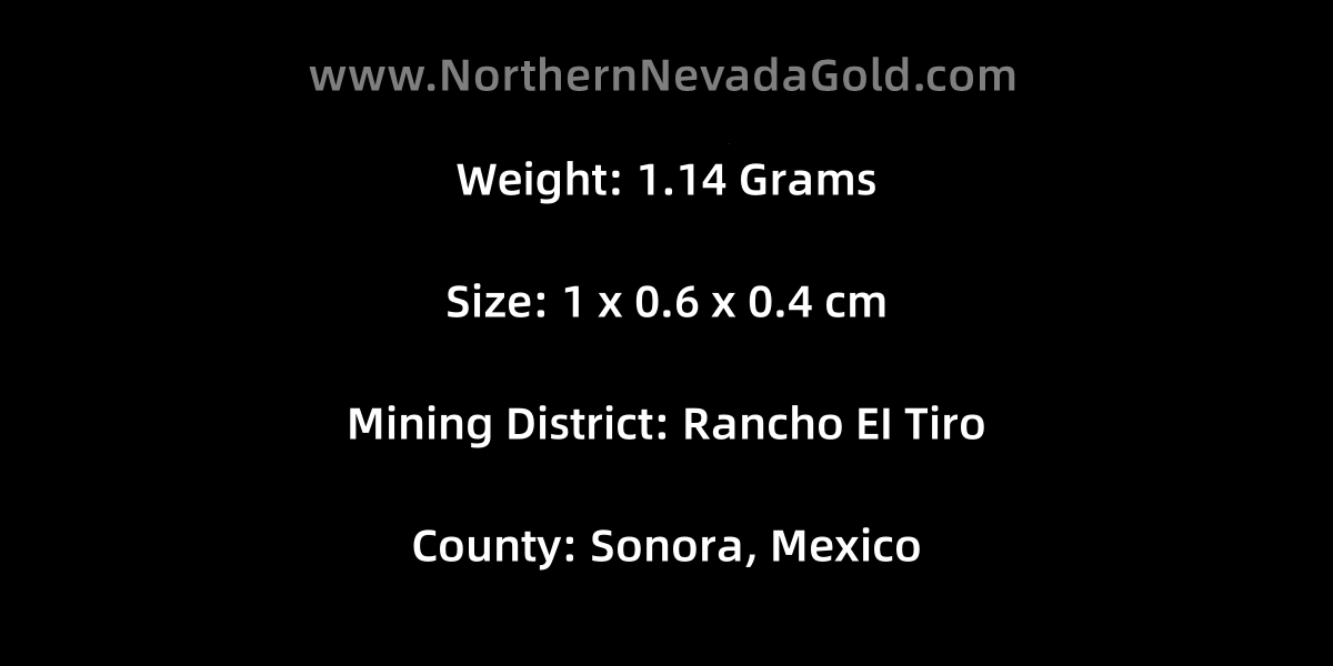 Gold nugget 1.14 Grams Rancho EI Tiro Sonora, Mexico