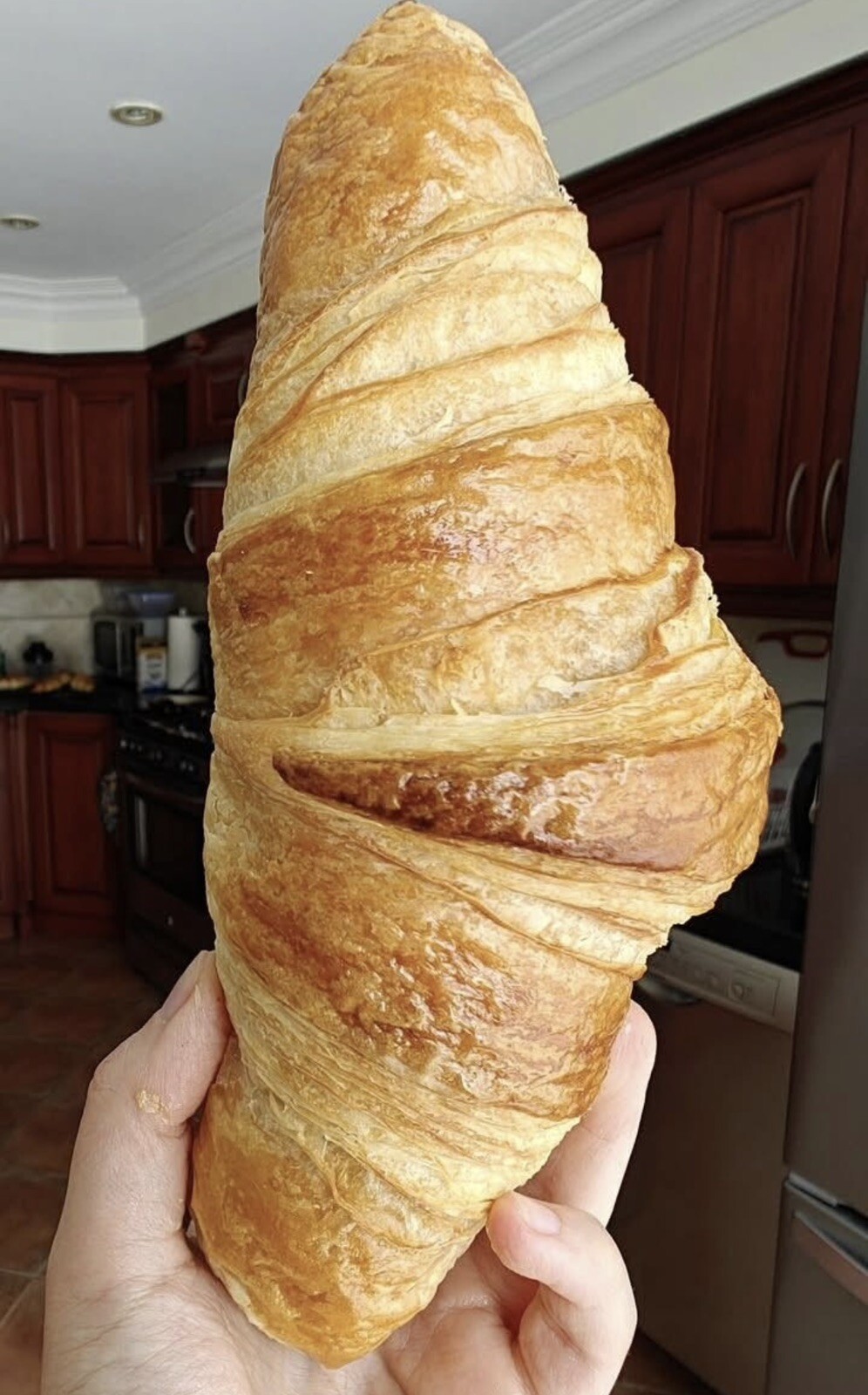 ORGANIC Sourdough Bread Starter San Francisco - Live 200yrs Old BEST SELLER!