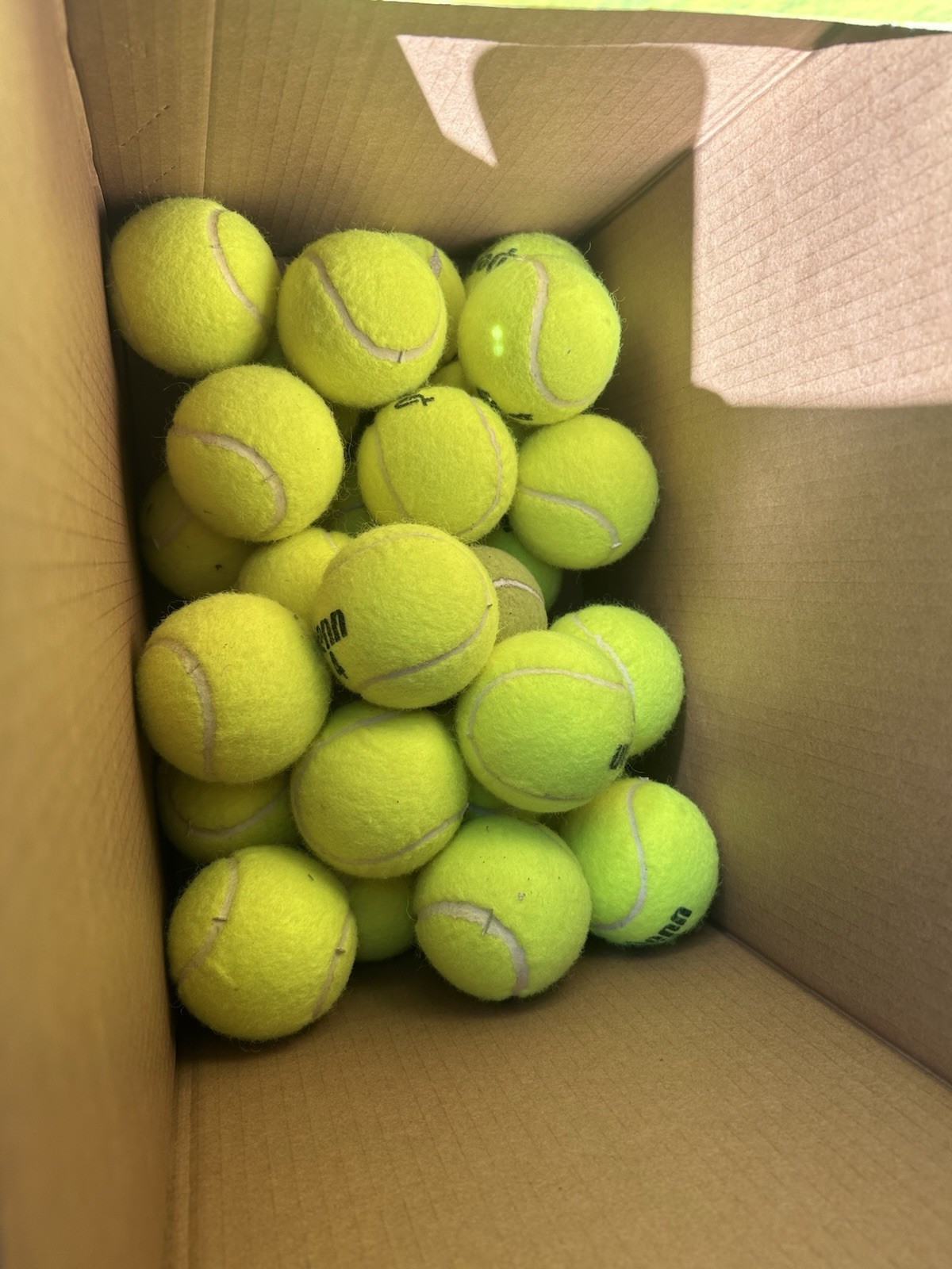 100+ Used Tennis Balls Various Brands Great for DOGS