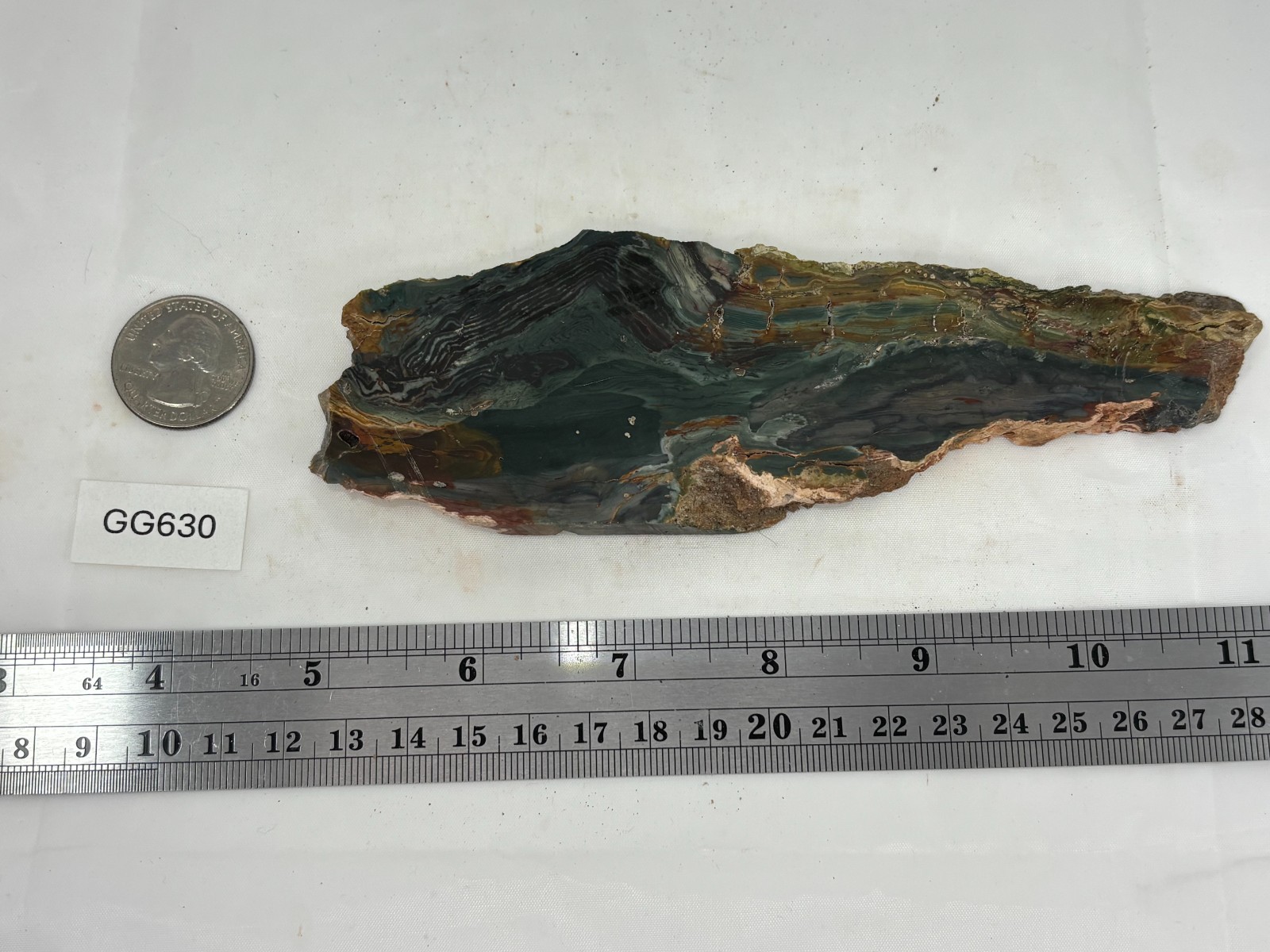 Gary Green Caldera Freedom Jasper Slab Cabbing Lapidary Combo Ship Avail