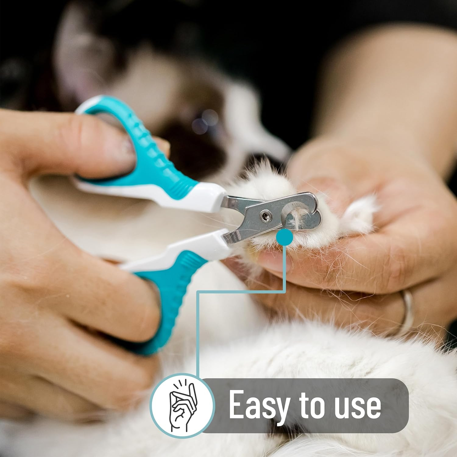 - Cat Nail Clipper, Pet Nail Trimmers, Kitten Claw Clippers, Easy to Use, Precis