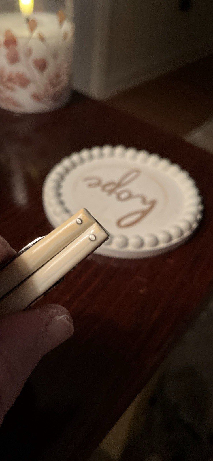 E. ZINN Germany Small Multi Tool Pearl Handles Original Packaging Early 1900’s