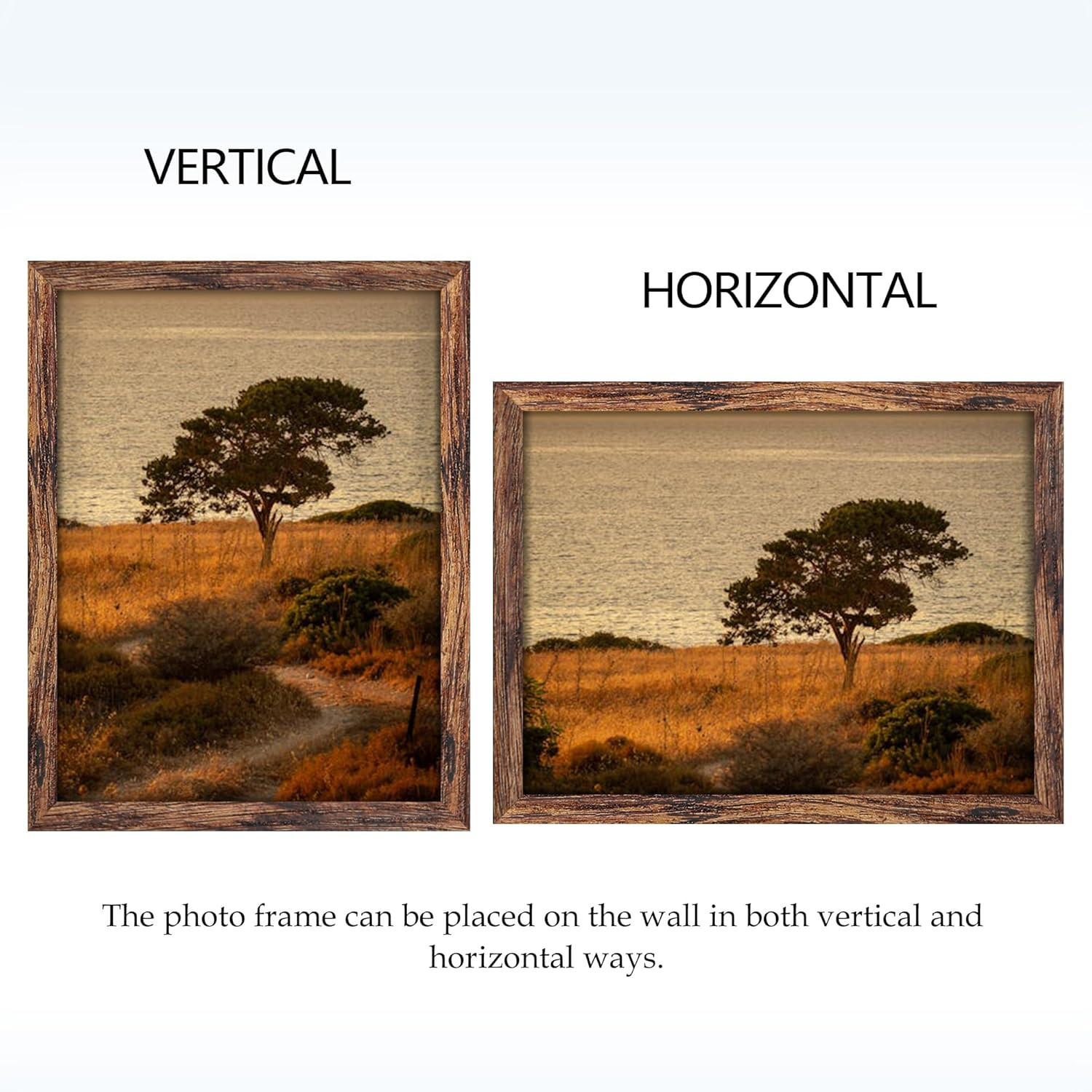 12X16 Picture Frame Brown Classic Frame for Horizontal or Vertical Wall Mounting