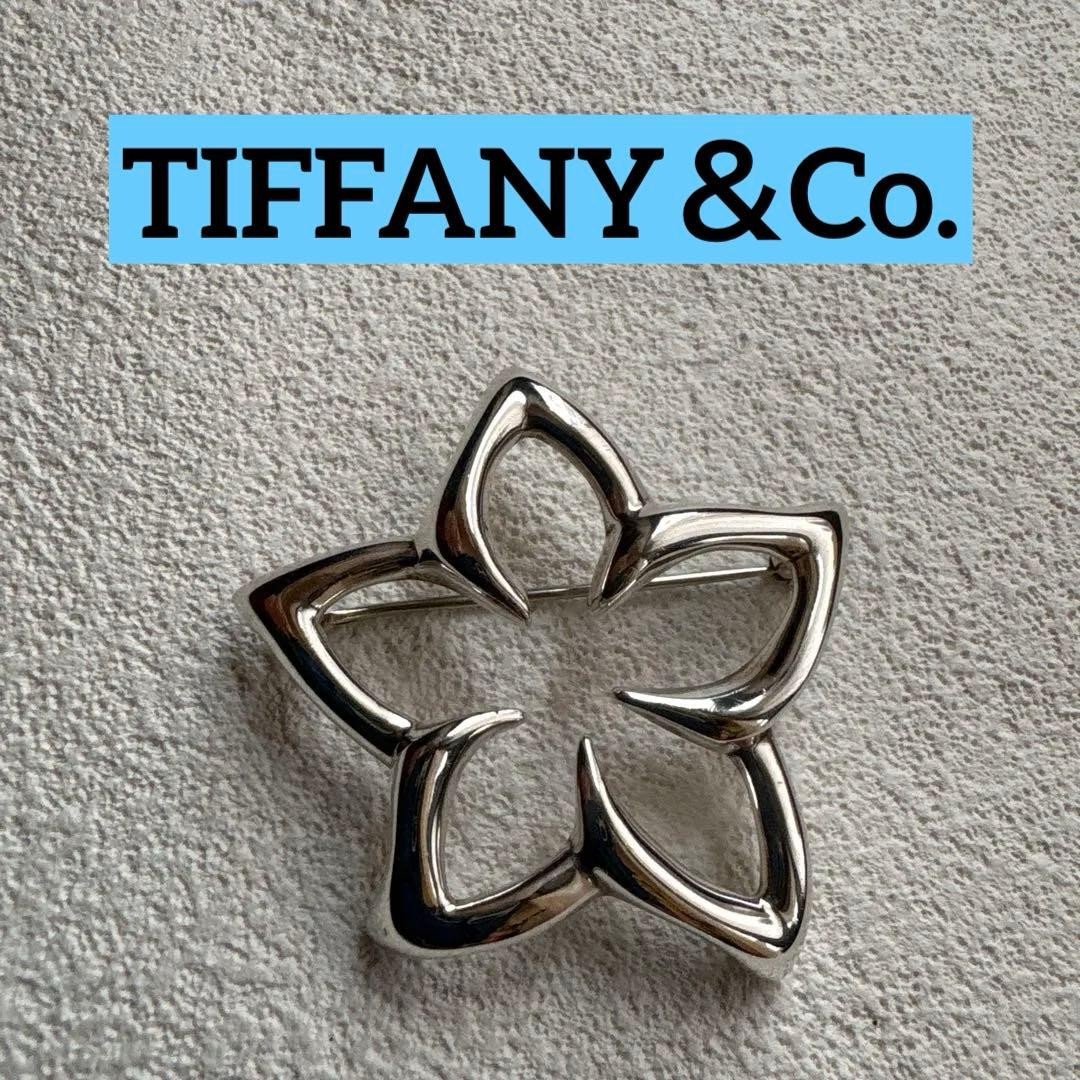 Tiffany & Co. Plumeria Flower Brooch Pin Sterling Silver SV925 No Box Rare