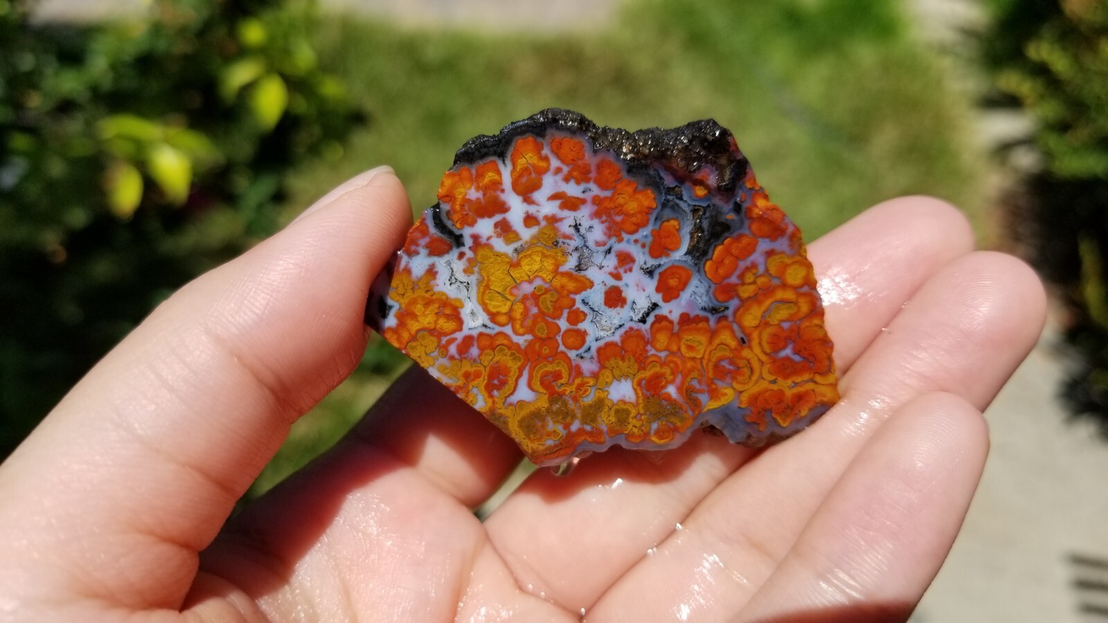 Wingate PASS PLUME AGATE Slab