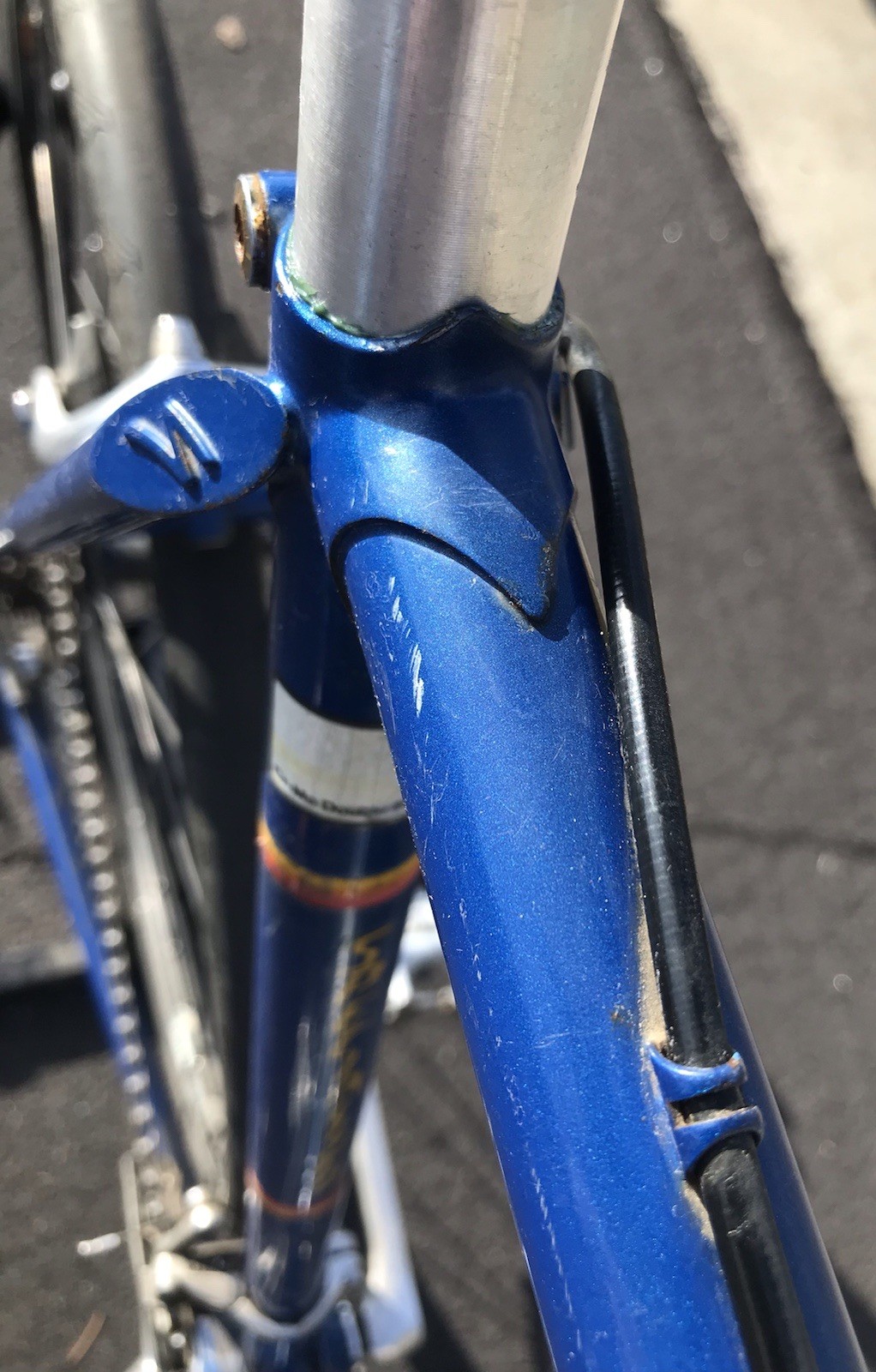 Vintage Specialized Allez SE Jim Merz Edition Lugged Steel Racing Bicycle Bike