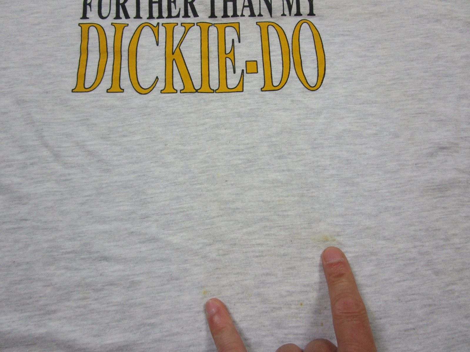 Vintage Funny Joke T Shirt (XL) "Dickie-Do Award" Quote 1990s Adult Humor
