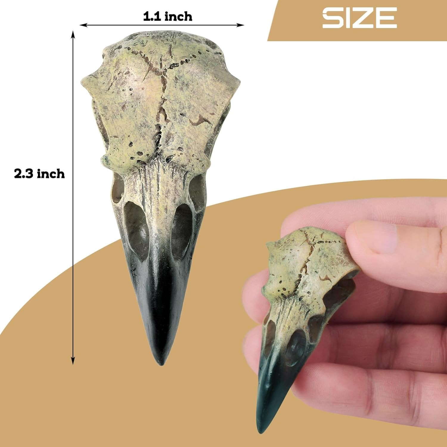 Halloween Raven Skull, Gothic Raven Decor Statue Animal Skull, Fake Bone Decor C