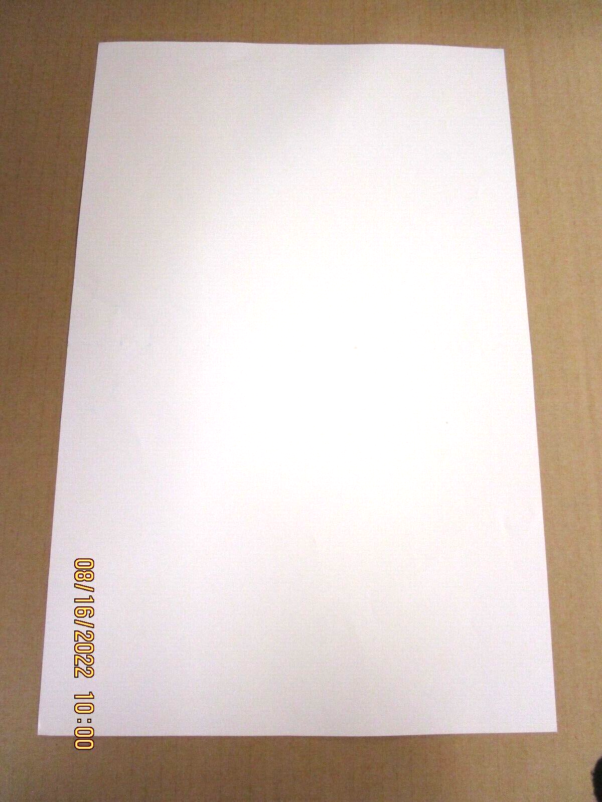 R.L. BURNSIDE A Bothered Mind Promo Poster New! Unused! Fat Possum Records 2004