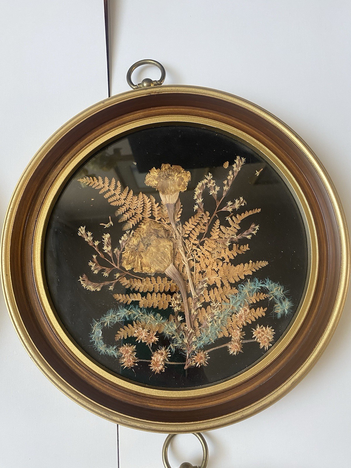 Set of 4 Framed Pressed Flower Art/Wall Decor