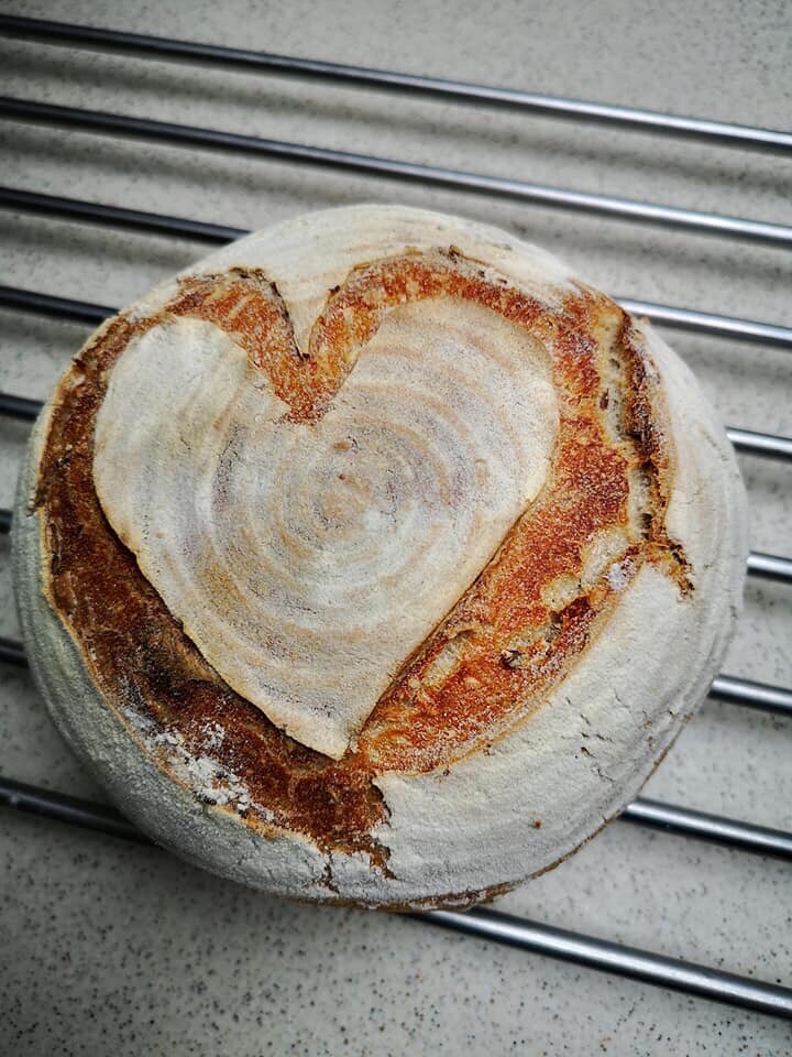 San Francisco live SOURDOUGH STARTER 200yo family heirloom Certified Organic!!