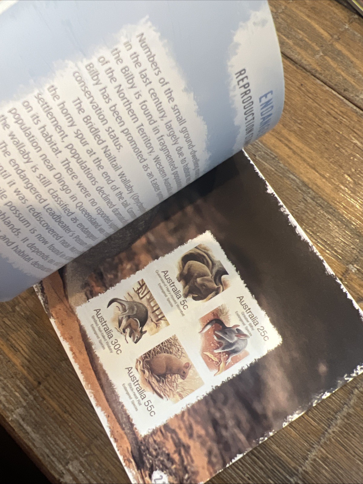 Lot Of 6: Australia Prestige: Dogs, Dangerous Aussies, Wallabies, Birds, Etc.