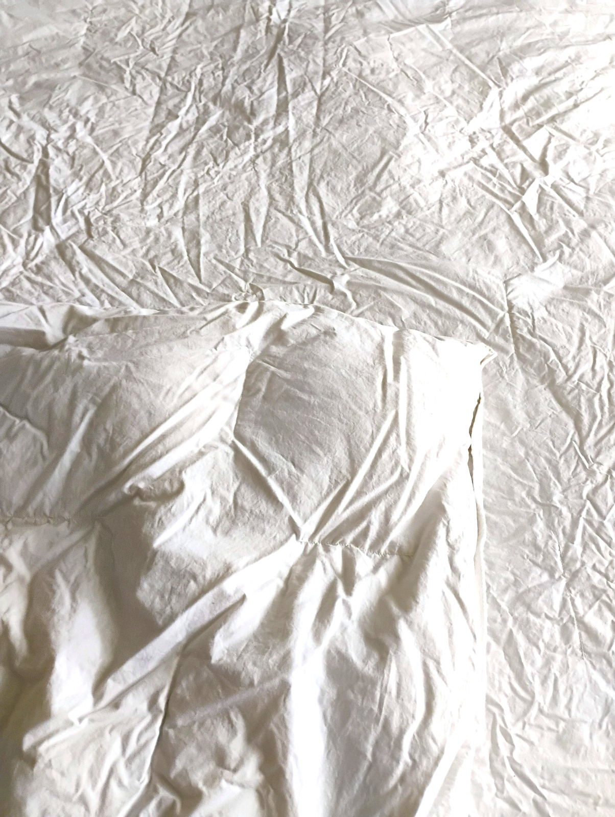 Down Duvet Insert Cotton White King size 108" x 92"