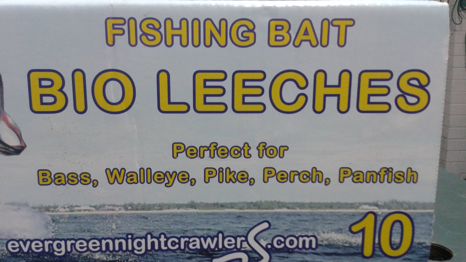Bestbait Bio Leeches 3 Pack Looks and Fishes like real leeches