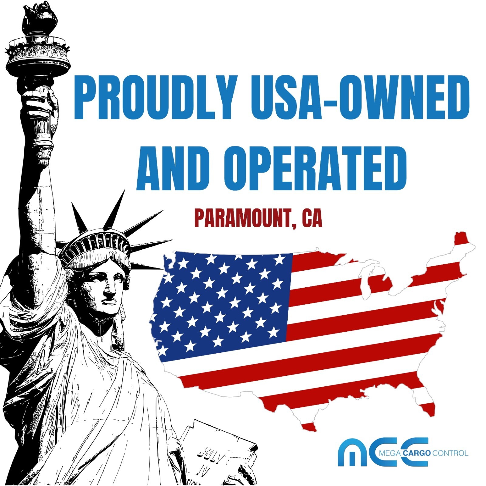 12 Pack 2" x10' Over The Tire Car Hauler Ratchet Tie Down Strap w/ Swivel J Hook