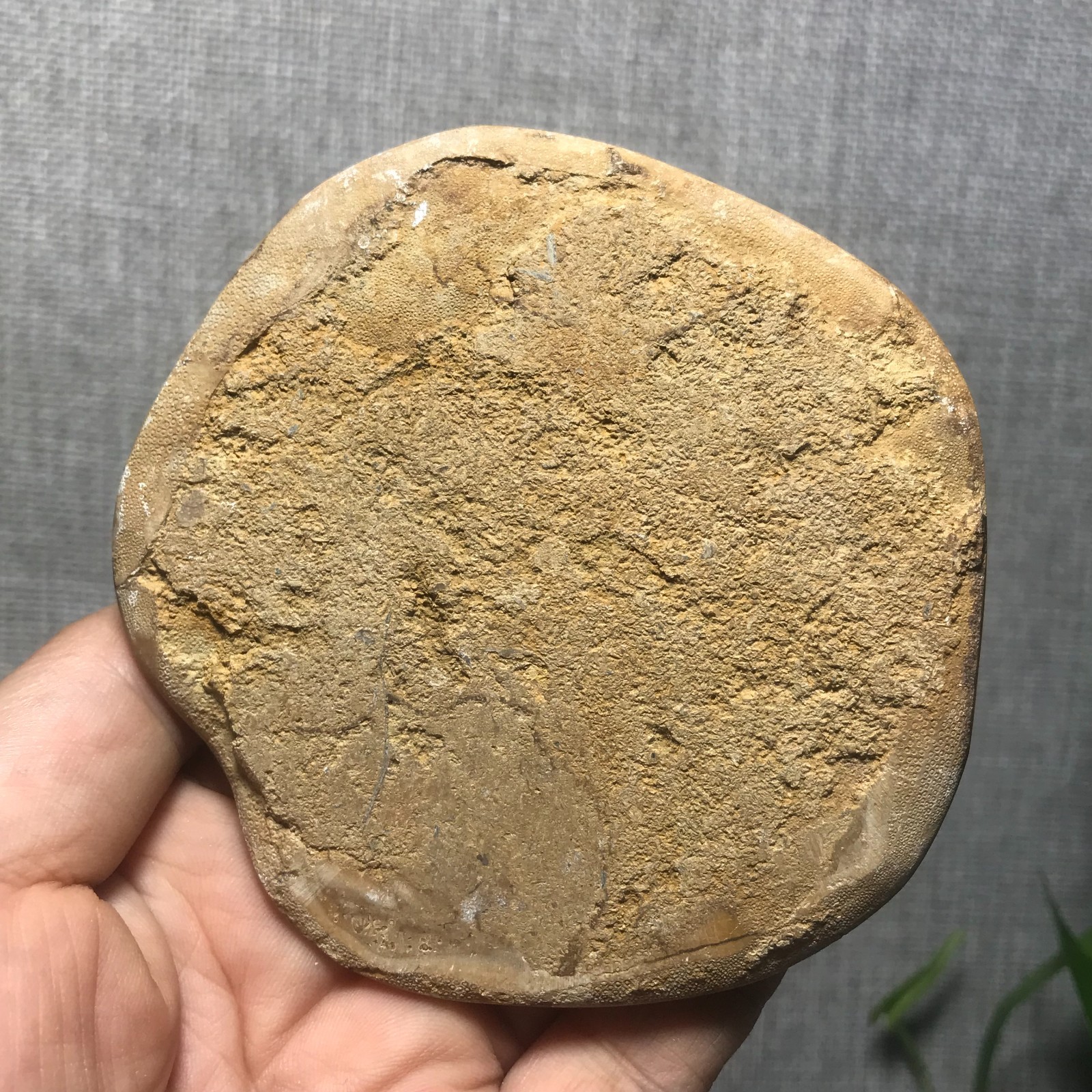 200g Starfish Crystal Specimen 13