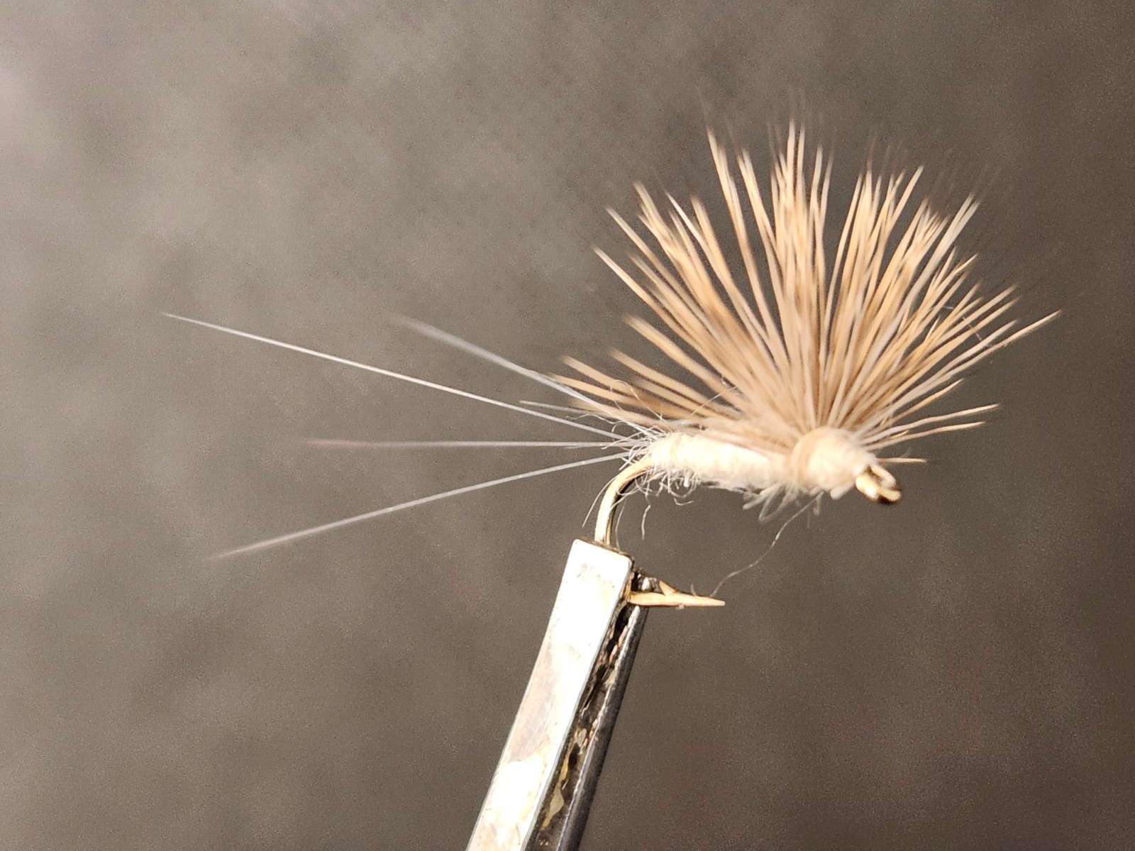 Cahill Comparadun Dry Fly, Comparadun, Cahill Compara Dun