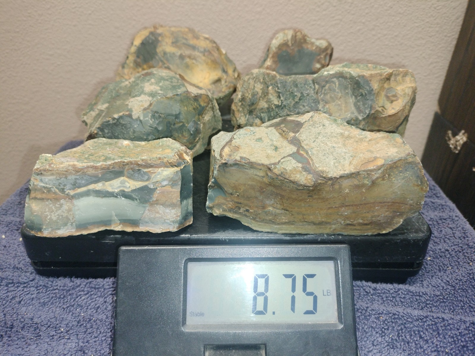 8.7LB ORBS Blue Mountain Picture Jasper Rough 6pc Lot #27