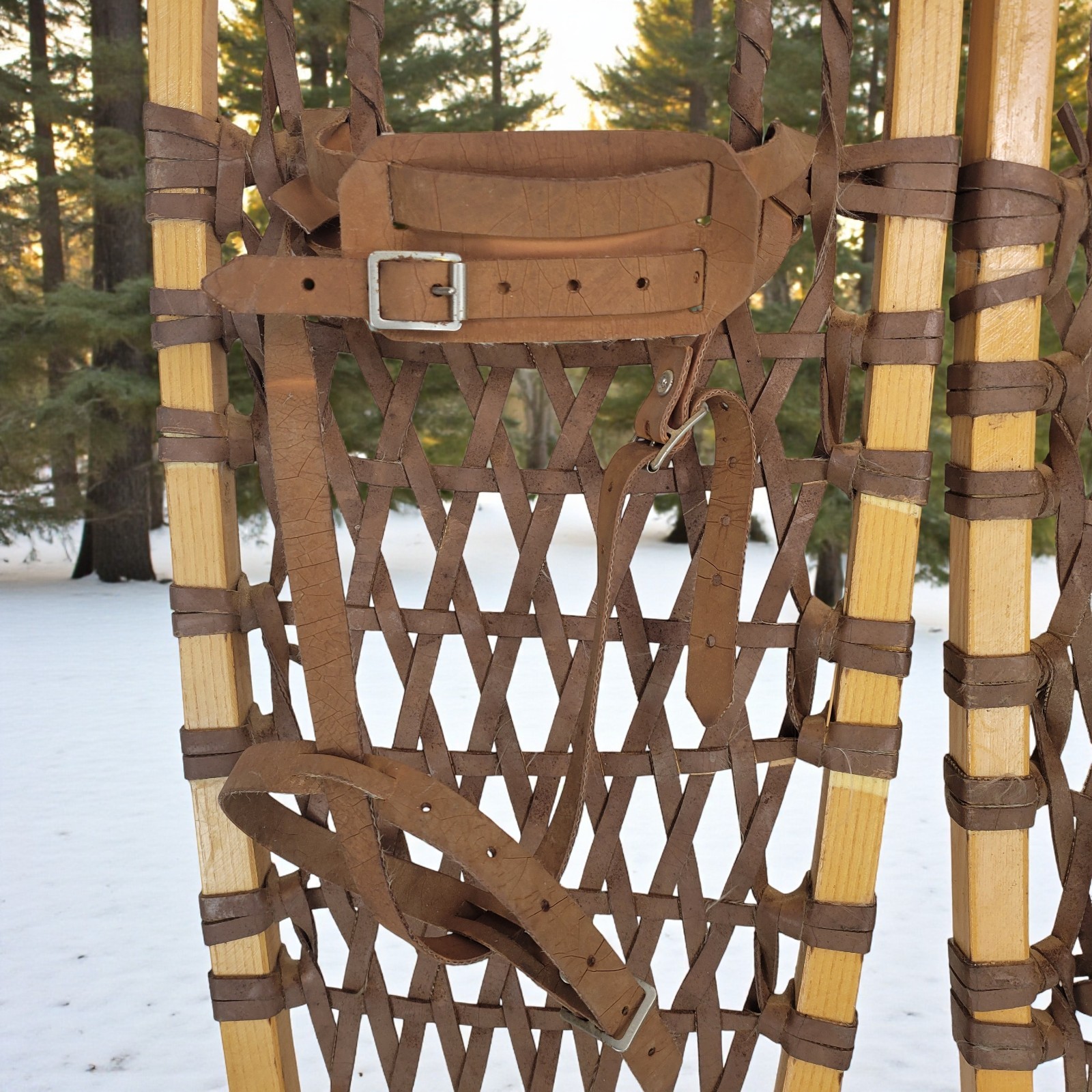 Vintage Snowshoes Northwoods Brand Made In Canada 56" x 10" Safesport Denver CO.