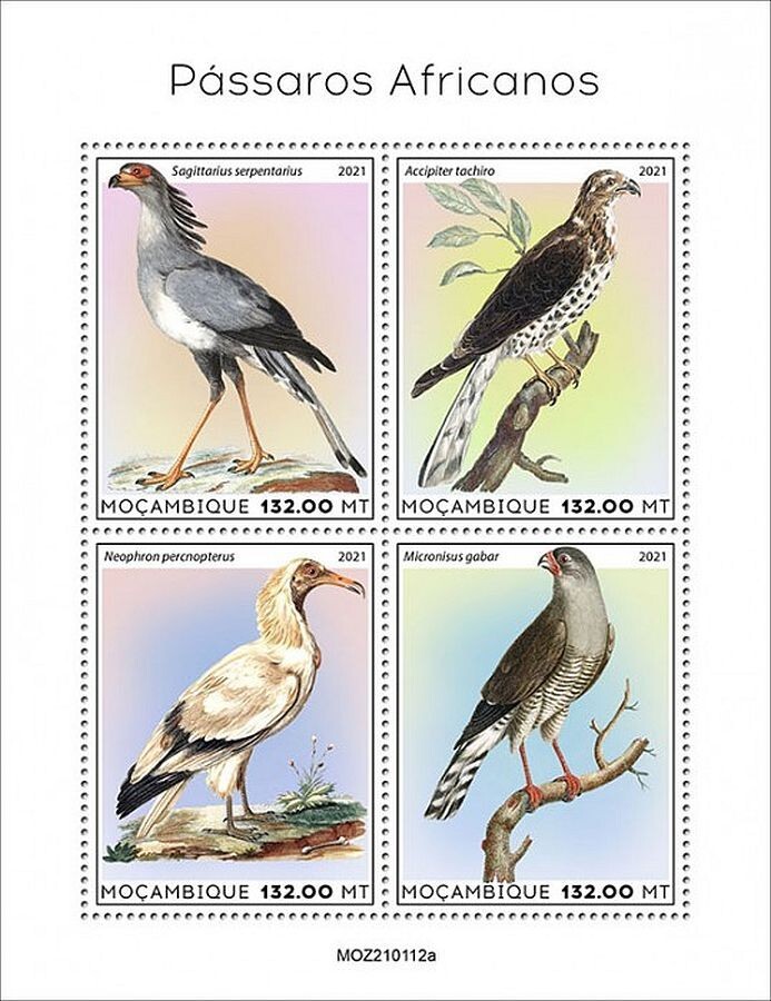 BIRDS OF AFRICA African Birds/Bird MNH 4v-Stamp Sheet #1909 (2021 Mozambique)